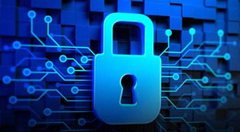 信息安全领舞软件行业 新一代信息技术酝酿爆发，互联网安全服务迎来黄金时代